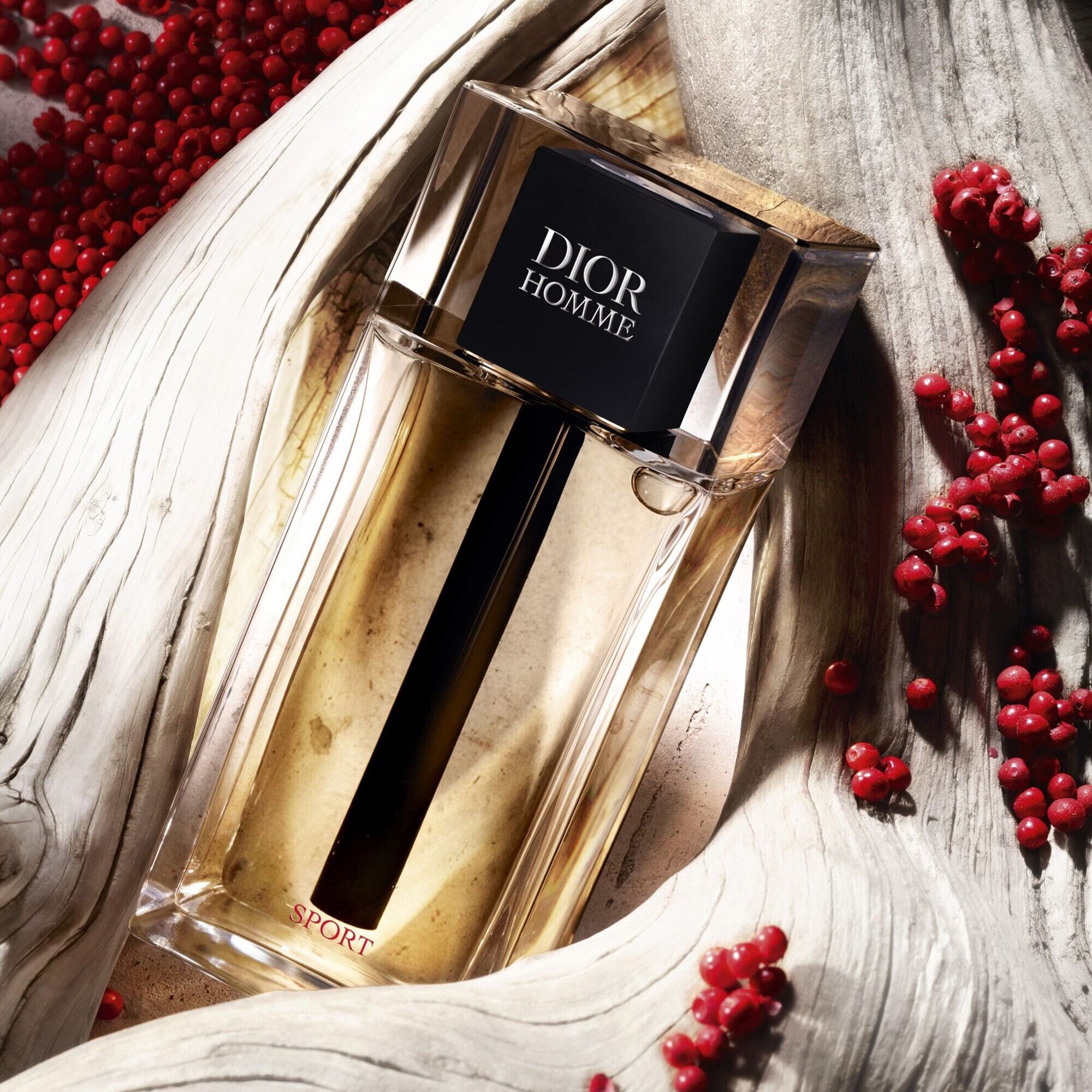 Perfume Dior Homme Sport Eau de Toilette Masculino - Sephora